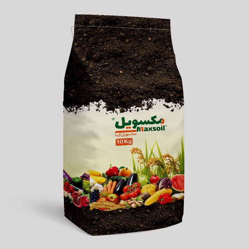 مکسویل آریا